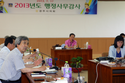 2013년도행정사무감사(2행정사무감사특별위원회)