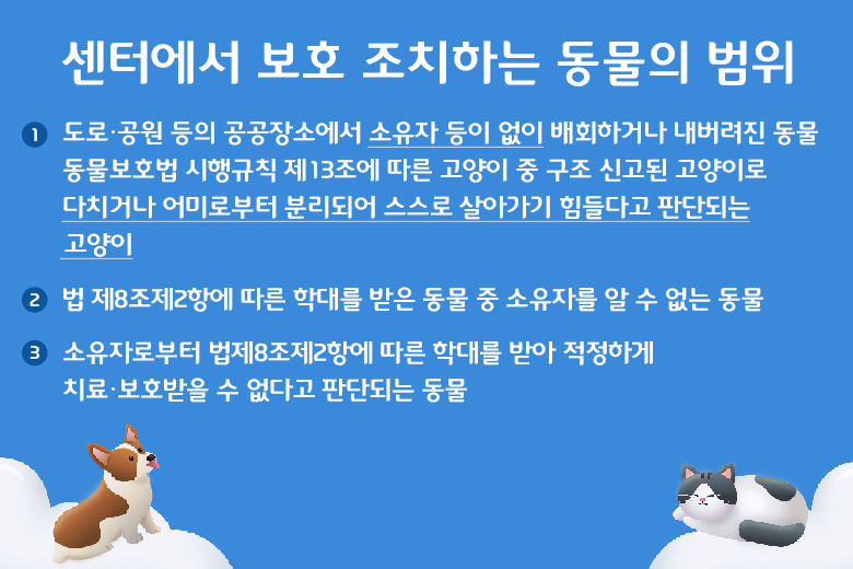 센터에서 보호 조치하는 동물의 범위