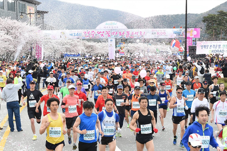 Gyeongju Cherry Blossom Marathon