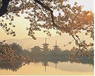 야쿠시지 전경