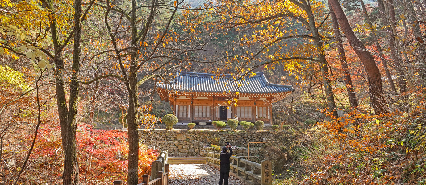 용담정의 가을