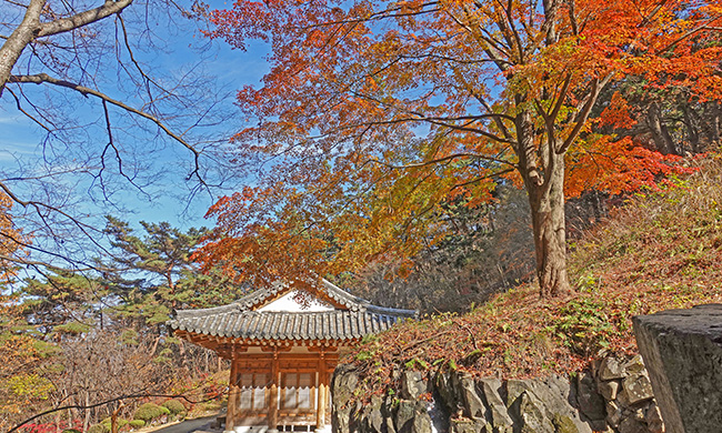 용담정의 가을