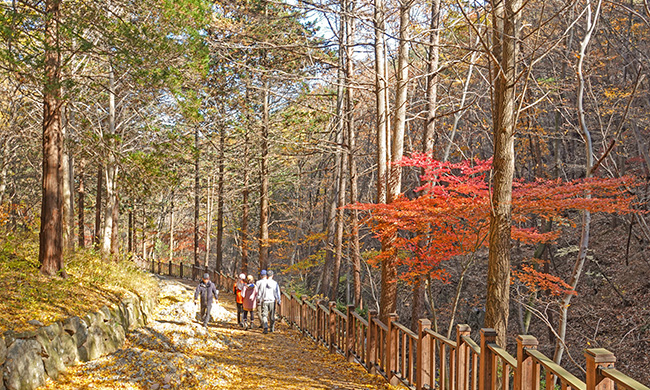 용담정의 가을