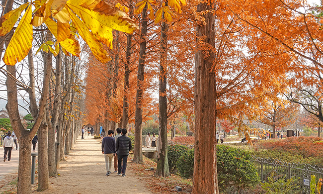 경북산림환경연구원 천년숲정원