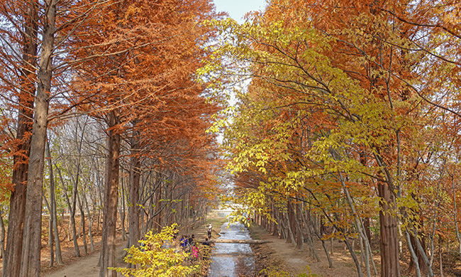 경북산림환경연구원 천년숲정원