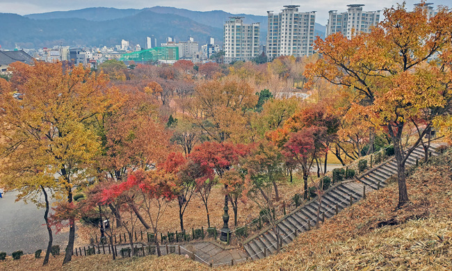 황성공원의 가을