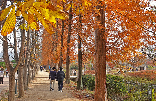 경북천년숲정원