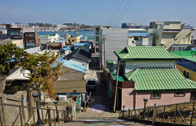 감포항 전경