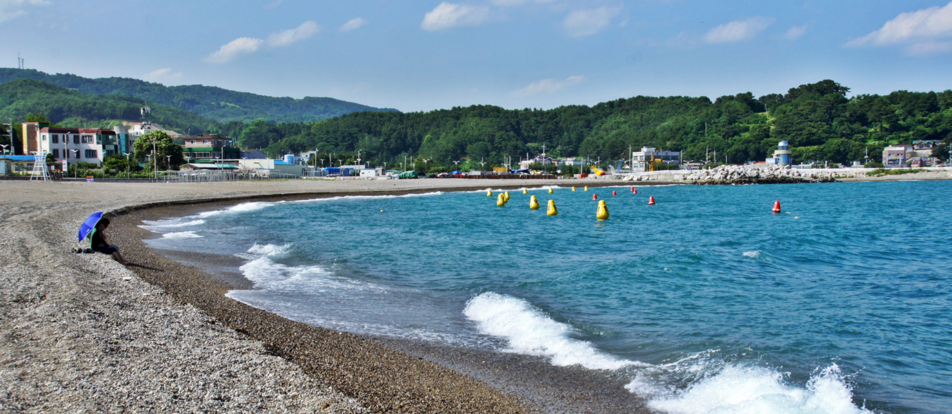 전촌 솔밭 해변