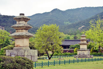 남산동동서삼층석탑 전경