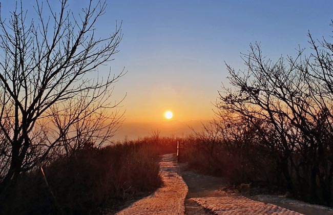 토함산 정상에서 보는 일출