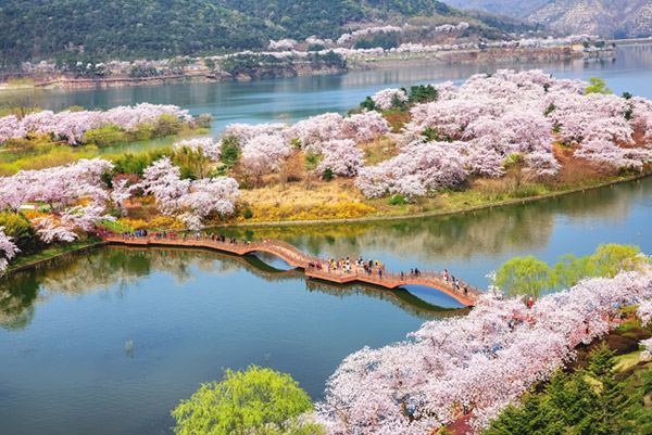 경주동궁원 항공사진