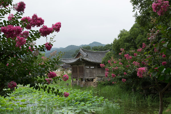 서출지 전경