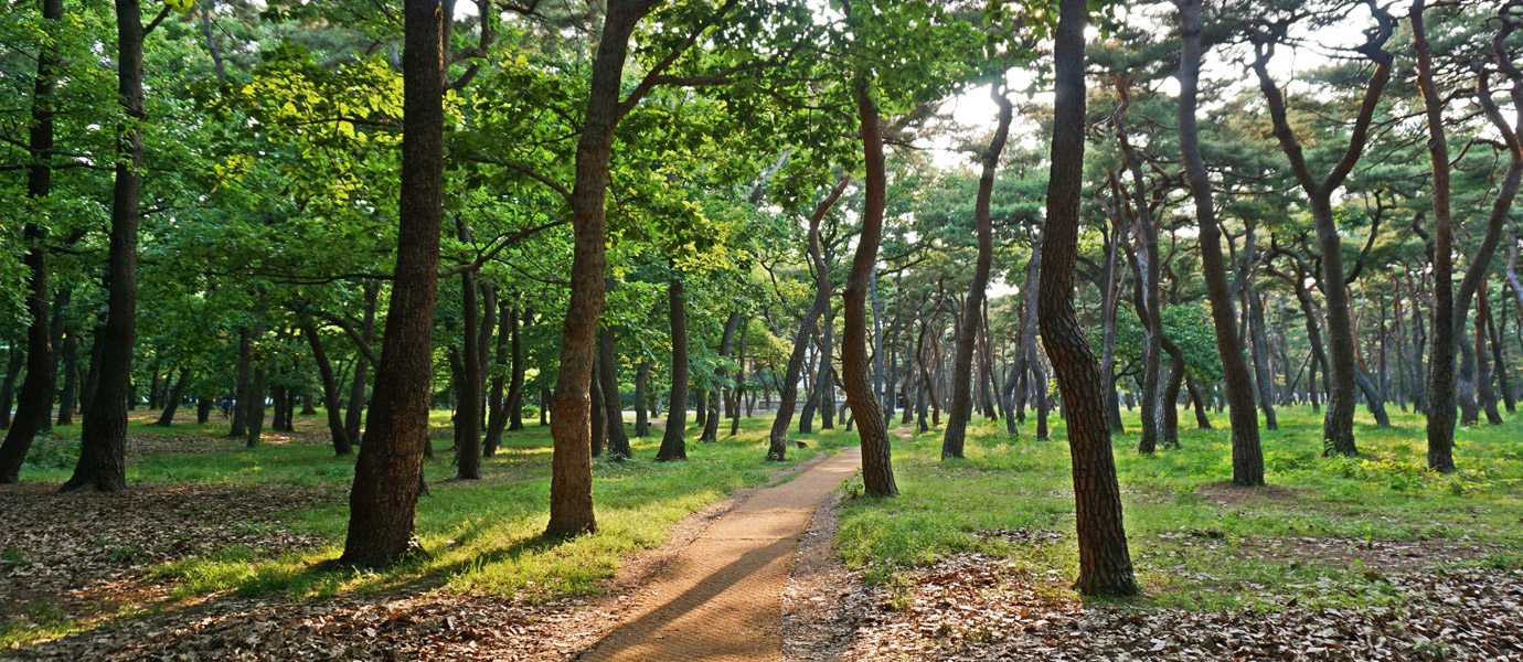 황성공원 전경