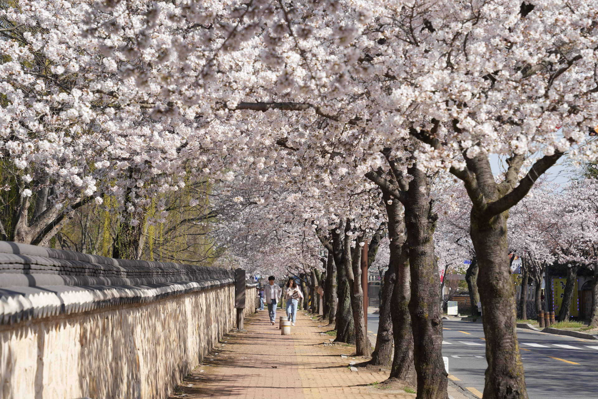 대릉원 돌담길