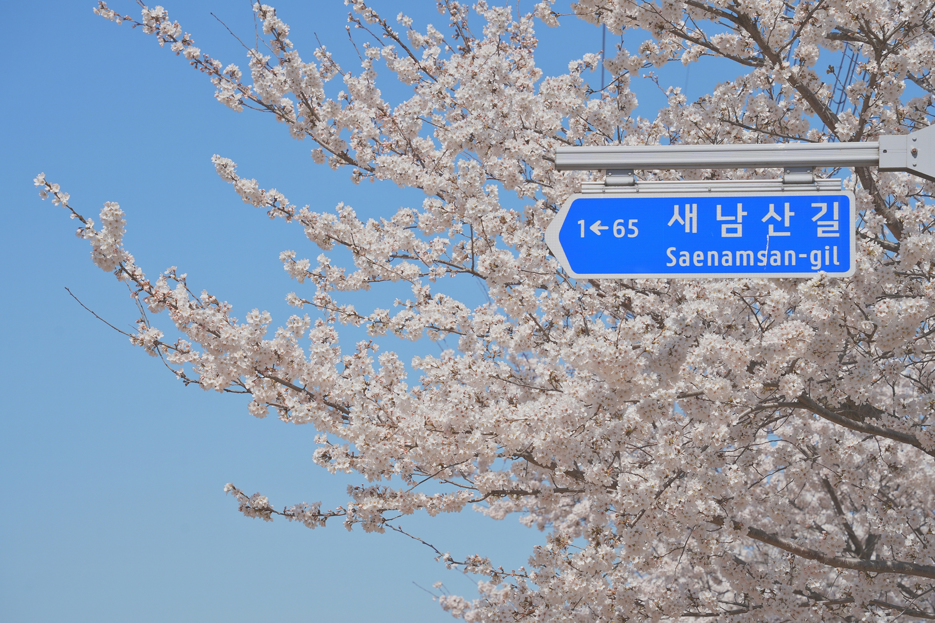 동남산가는길