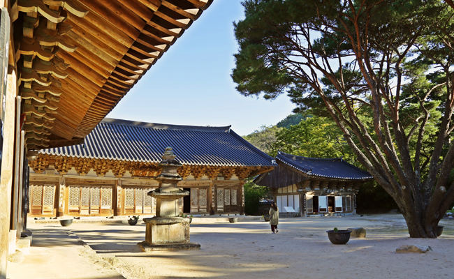 기림사 템플스테이