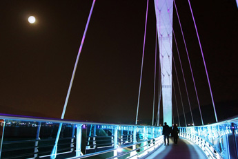 보문호반길 야경