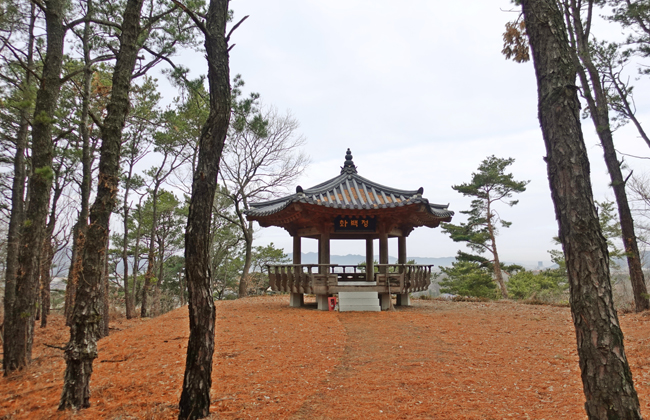 나무사이로 보이는 화백정