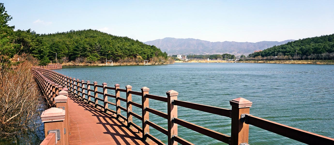 못 위에 있는 영지 둘레길