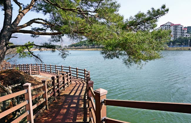 못 위에 있는 영지 둘레길