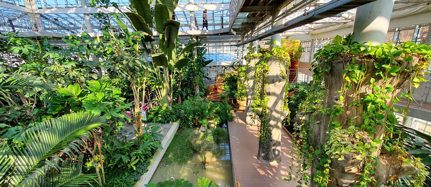 경주동궁원 동궁식물원 본관 내부사진