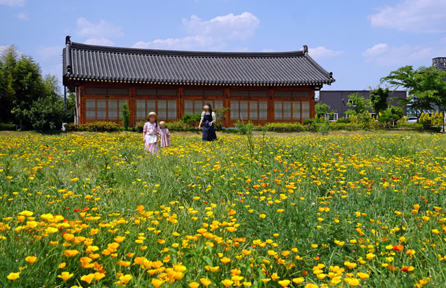 금영화 꽃단지 안 서있는 사람들