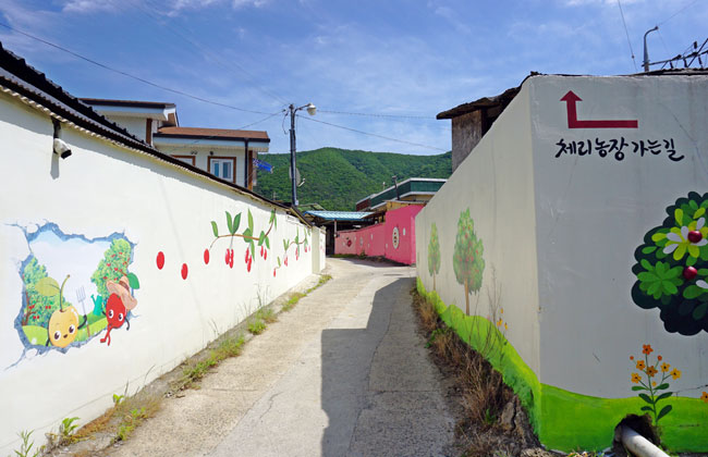 체리 벽화가 그려진 담에 화천 체리농장 가는길이 적혀있다.