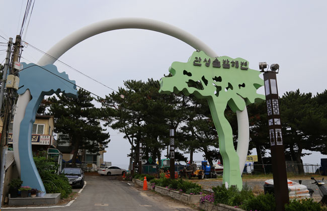 관성솔밭해변 입구