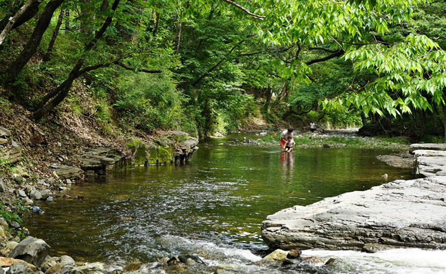 계곡에서 물놀이 중인 가족