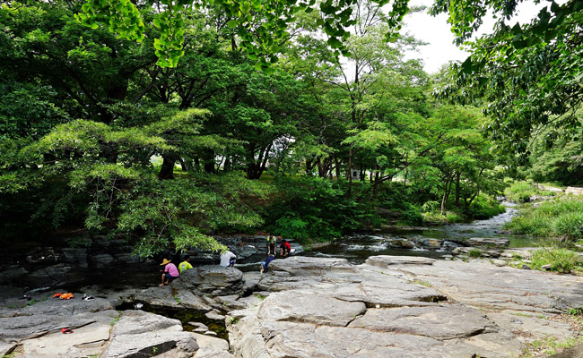 옥산서원 계곡 전경