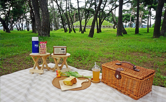 피크닉하기 좋은 헌덕왕릉