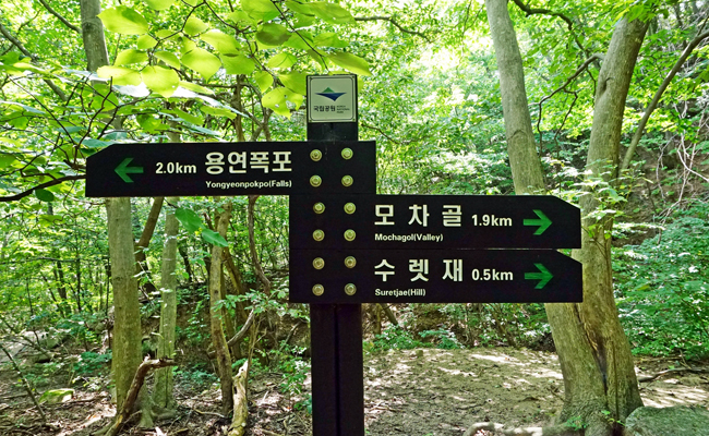 신문왕 호국행차길 가는 길