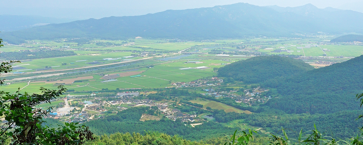 선도산 정상부에서 바라 본 경주 서악동 들녘
