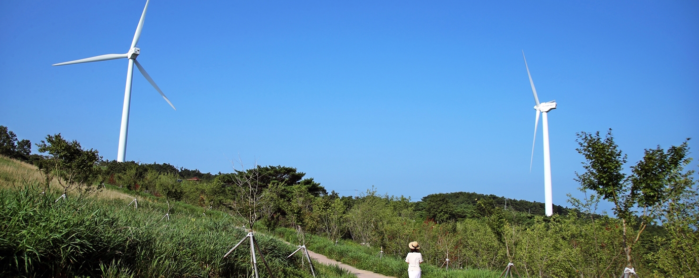 경주풍력발전 바람의 언덕