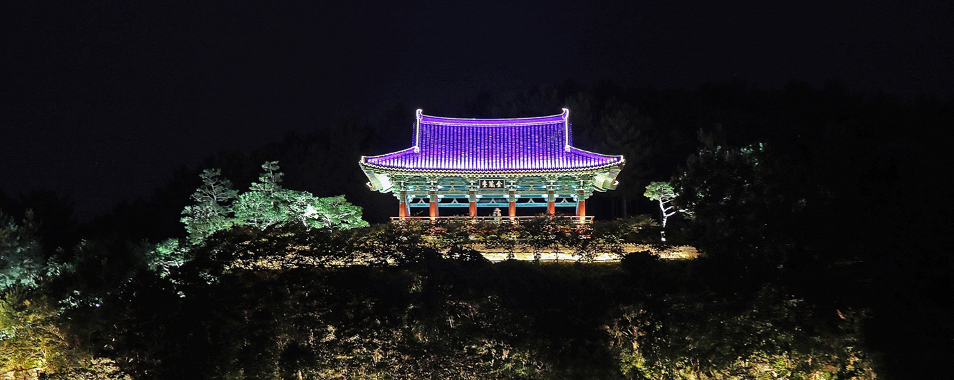 금장대 경주팔색 야경