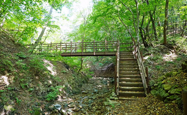 신문왕 호국행차길 가는 길