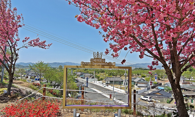 숲머리뚝방길 겹벚꽃 풍경 1