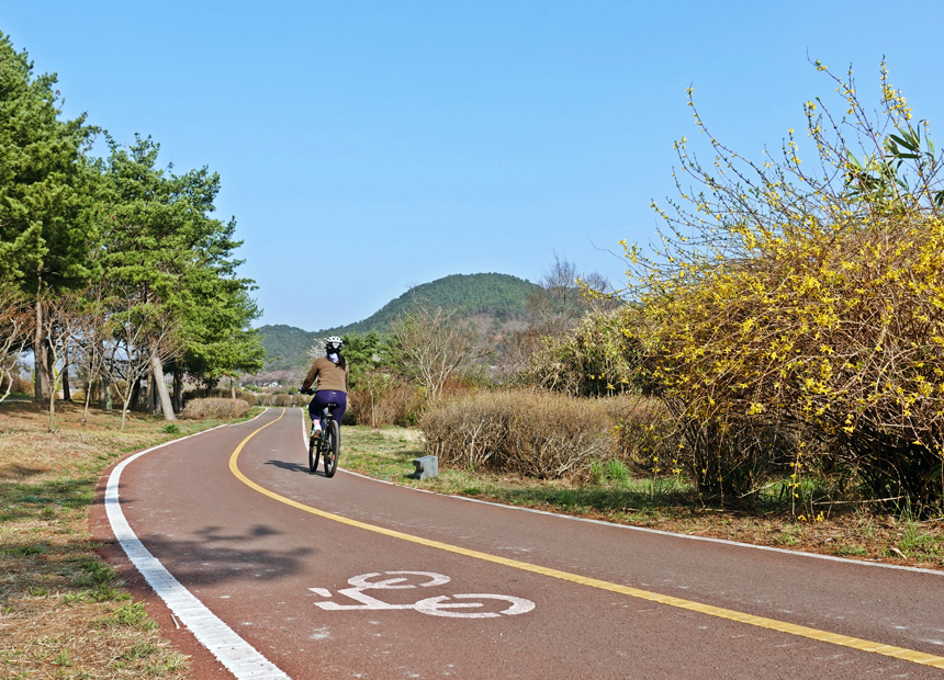 알천 자전거길에서 자전거를 타는 모습 1