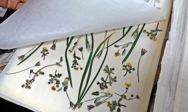 이요공방 꽃 체험 1