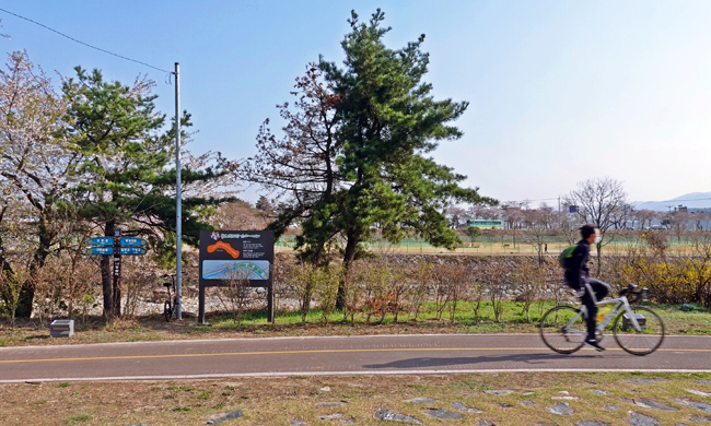 알천 자전거길에서 자전거를 타는 모습 2