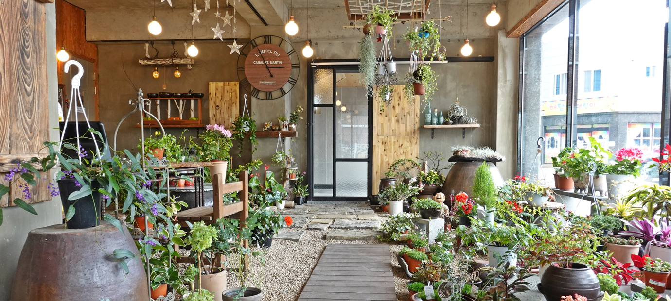 경주 식물 가득한 카페 ‘멍때리는정원카페’ 내부