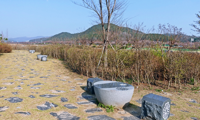 알천 둔치 걷기길