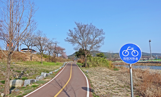 알천 자전거길 자전거전용 표지판
