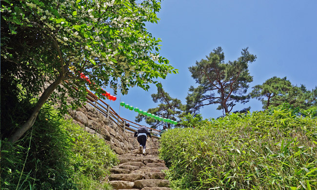 칠불암 마애불상군 오르는 길