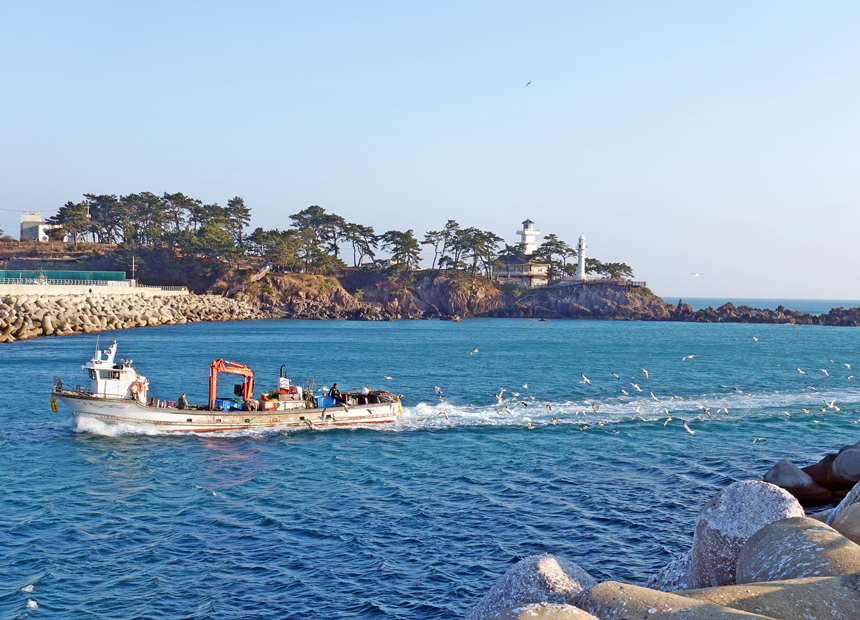 감포항으로 귀항하는 어선