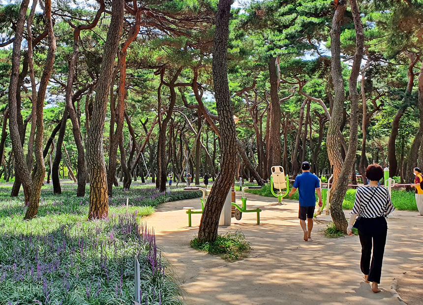 경주 맨발걷기길_황성공원 산책로