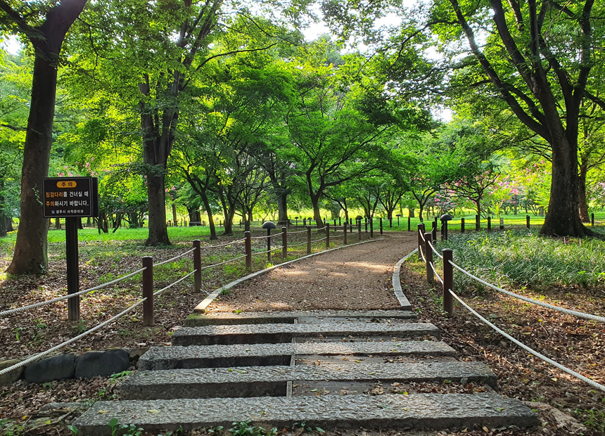 경주 맨발걷기길_경주 계림 산책로