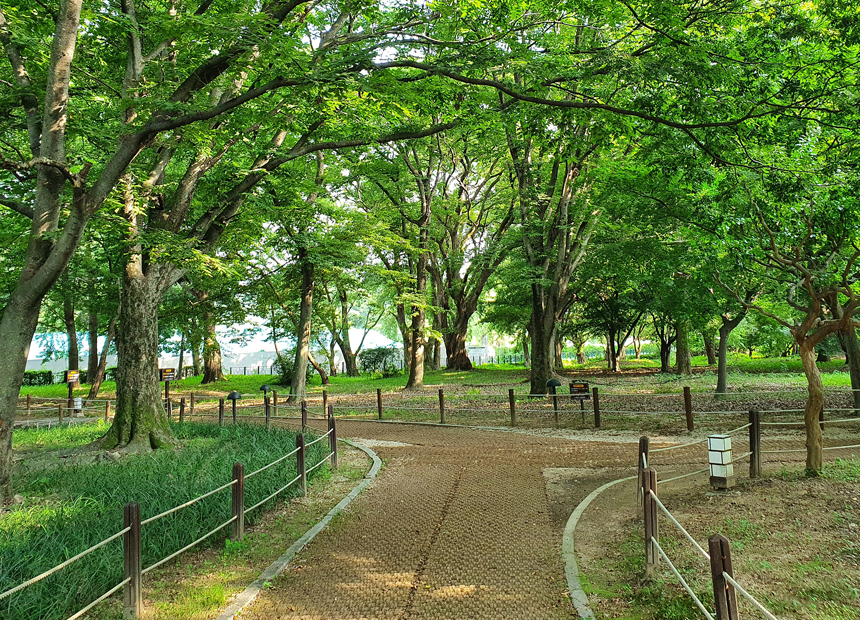 경주 맨발걷기길_경주 계림 산책로
