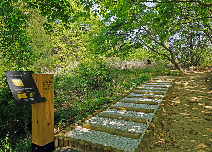 경주 맨발걷기길_경주엑스포대공원 비움명상길
